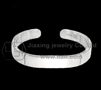 Titanium Bracelet